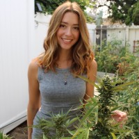 Heather Williams