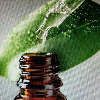 mariafrancesca intermaggio