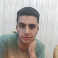 Ali Parsa