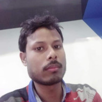 DEBASISH ROY