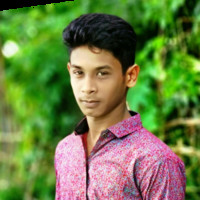 Md Mehedi Apu