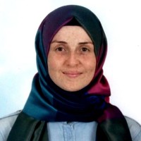 Kübra Sevcan DEMİRCİOĞLU