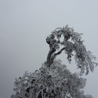 龚凯辉