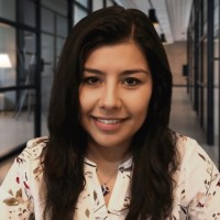 Aracelli Fajardo (Data Engineer, Data Scientist, Bi Team Leader)