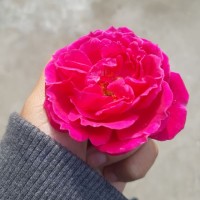 Creative ideas
