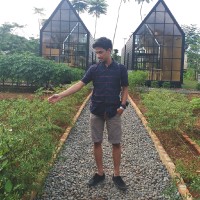 Ary Rachmansyah