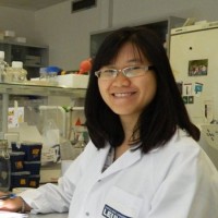 Thao Phan