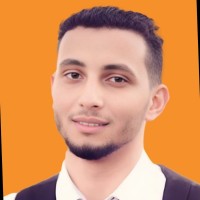 Sayed Mansour