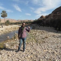Tahar Amine