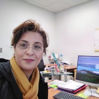 Ozgul M A.