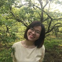 Hong Anh Le