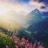 V H