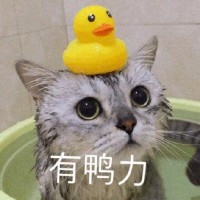 朱慧明