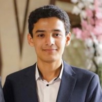 Haider Abidi