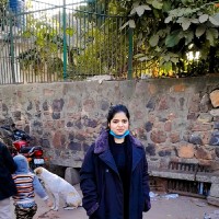 Hiba Arif