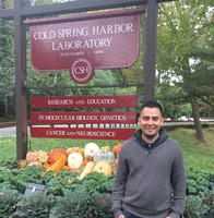 Alberto Corona