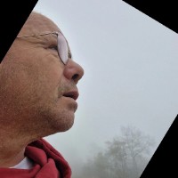 Harold Bijnen