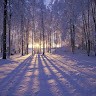 Sleepy Winter