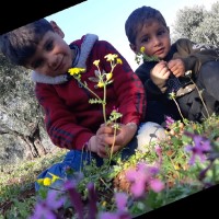 Hasan Aldarwesh