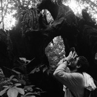 Andrés Montes Rojas