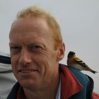 Marco Reddingius