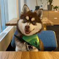Toby Pomsky