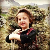 Mahender Mr