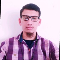 Mohammed Arif Pasha