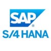Rahman SAP S4 HANA Logistics Finance Consultant Corporate Trainer