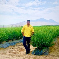 Jorge Luis Cruzado L.