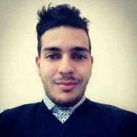 Adel Dje