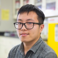 Yale Wang