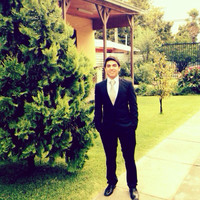 Felipe Castro gil