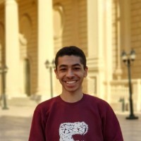 Mohamed A. Aly