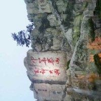 孙志浩