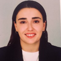 Elif Çetin