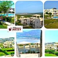 Artev Global