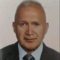 Carlos Flores