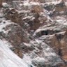 عمر صالح