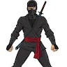 GRE NINJA
