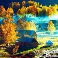 谢新军