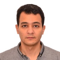 Mohamed Elshafei