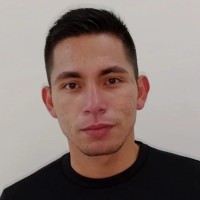 Henry Orlando Perez Gamboa