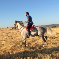 Mustafa Kilinç