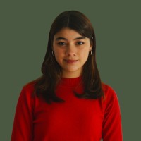 Lara Perdigão Pires