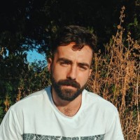 Dvir Katz