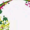 habibullah n