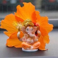 Anuradha Reddy
