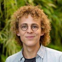 Luuk van der Laan