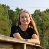 Allison Wilking